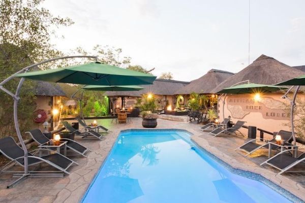 African Rock Lodge (Hoedspruit)